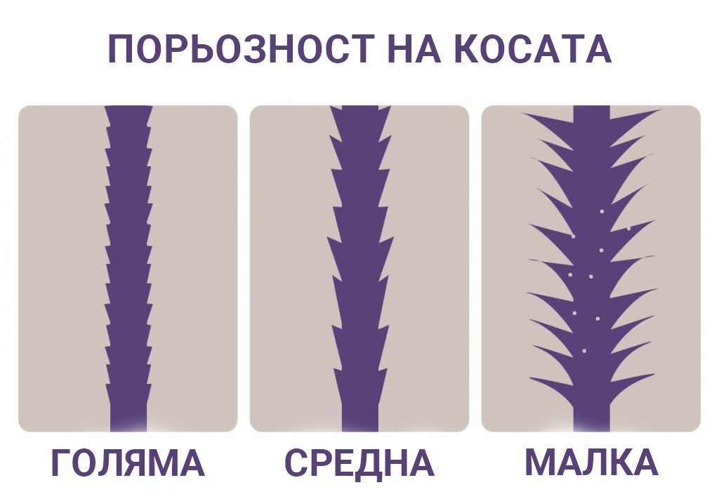 порьозност на косата